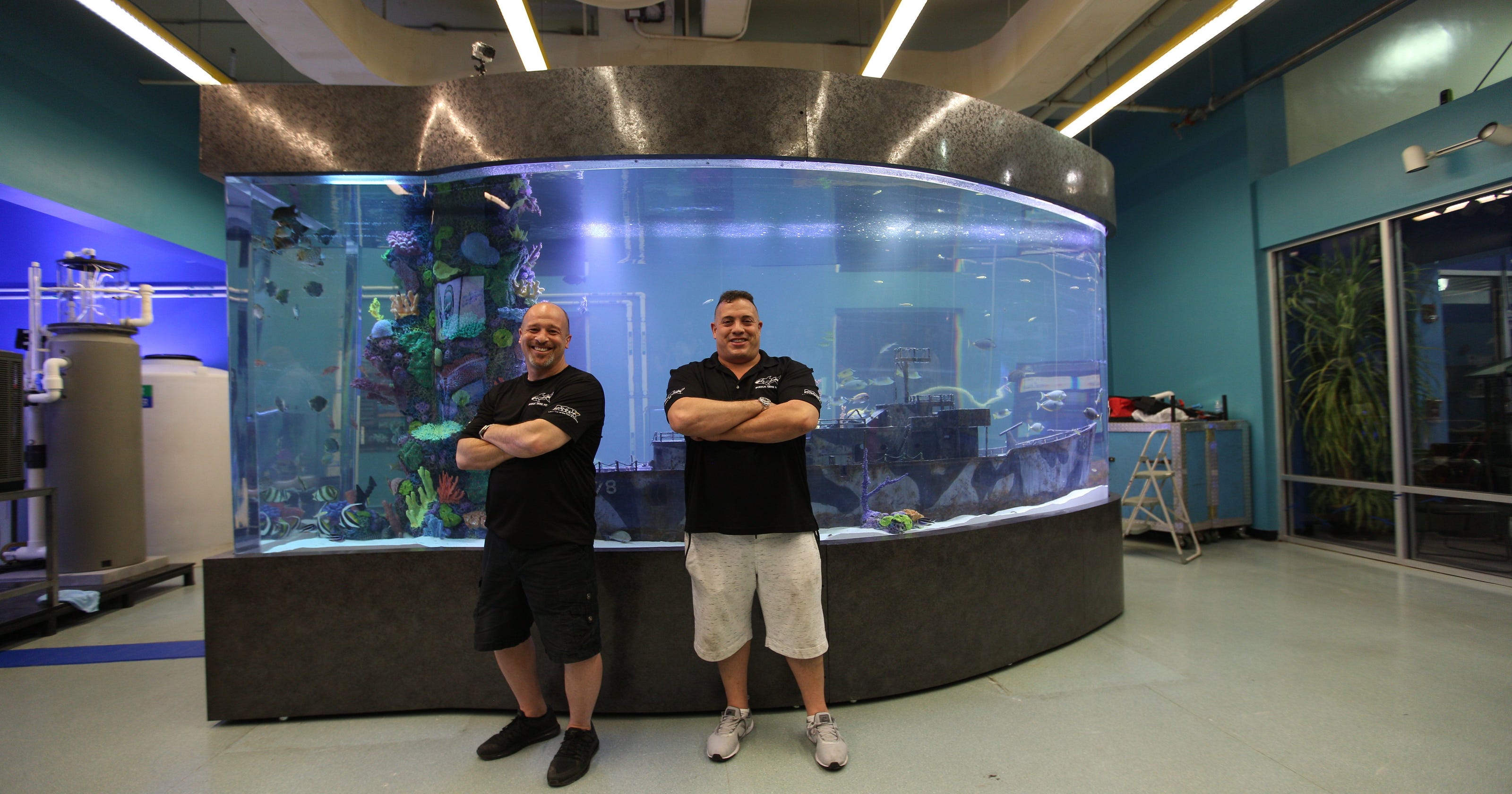 Imaginarium Appears On Animal Planet Tv Show Tanked