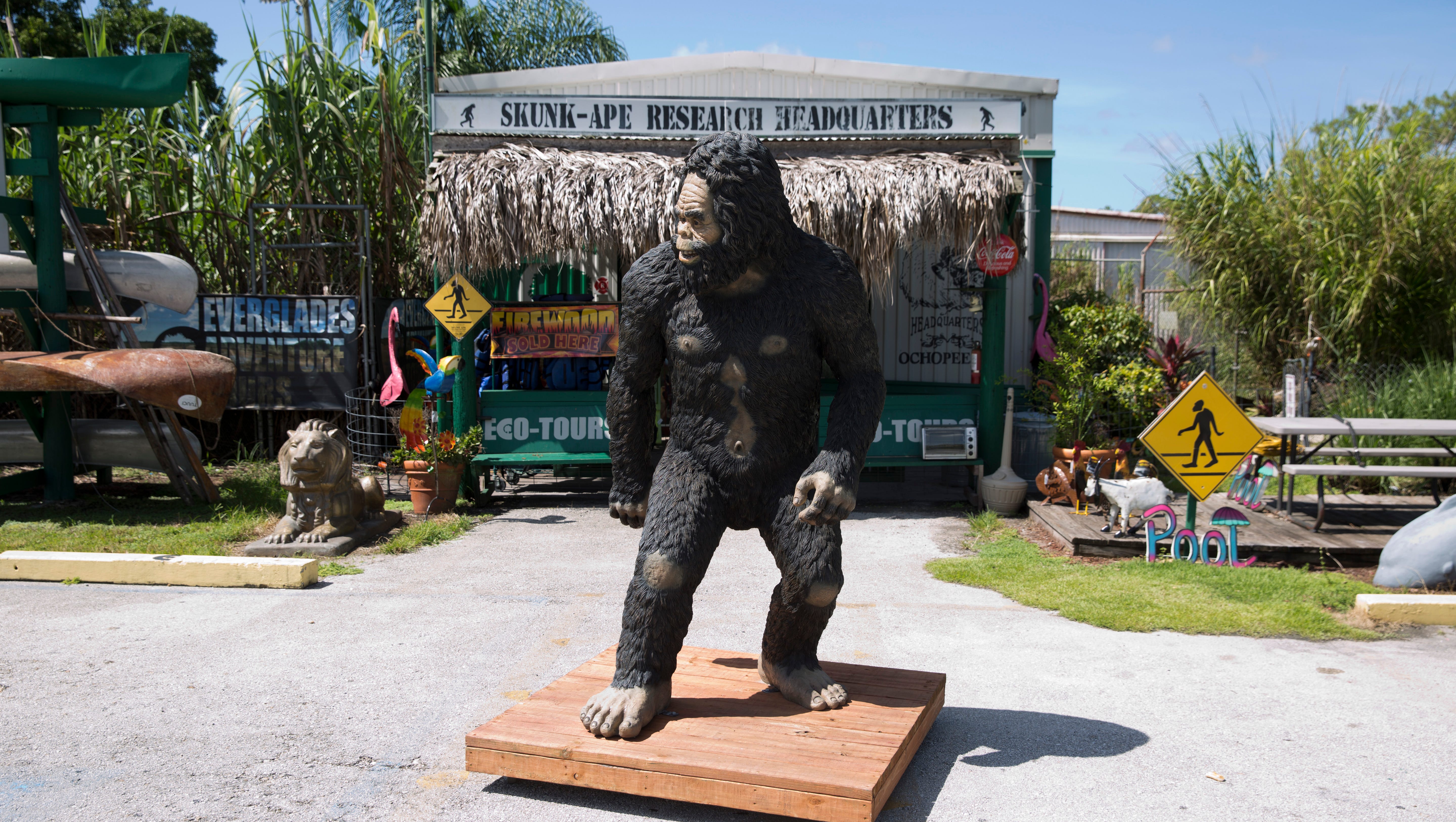 Stay Weird Florida 10 Unique Places To Visit In The Sunshine State