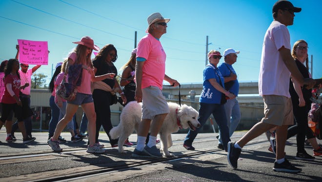 Participants in a previous Making Strides Against Breast Cancer walk around Cascades Park. Breast Cancer Awareness Month is a renews attention reducing risks.