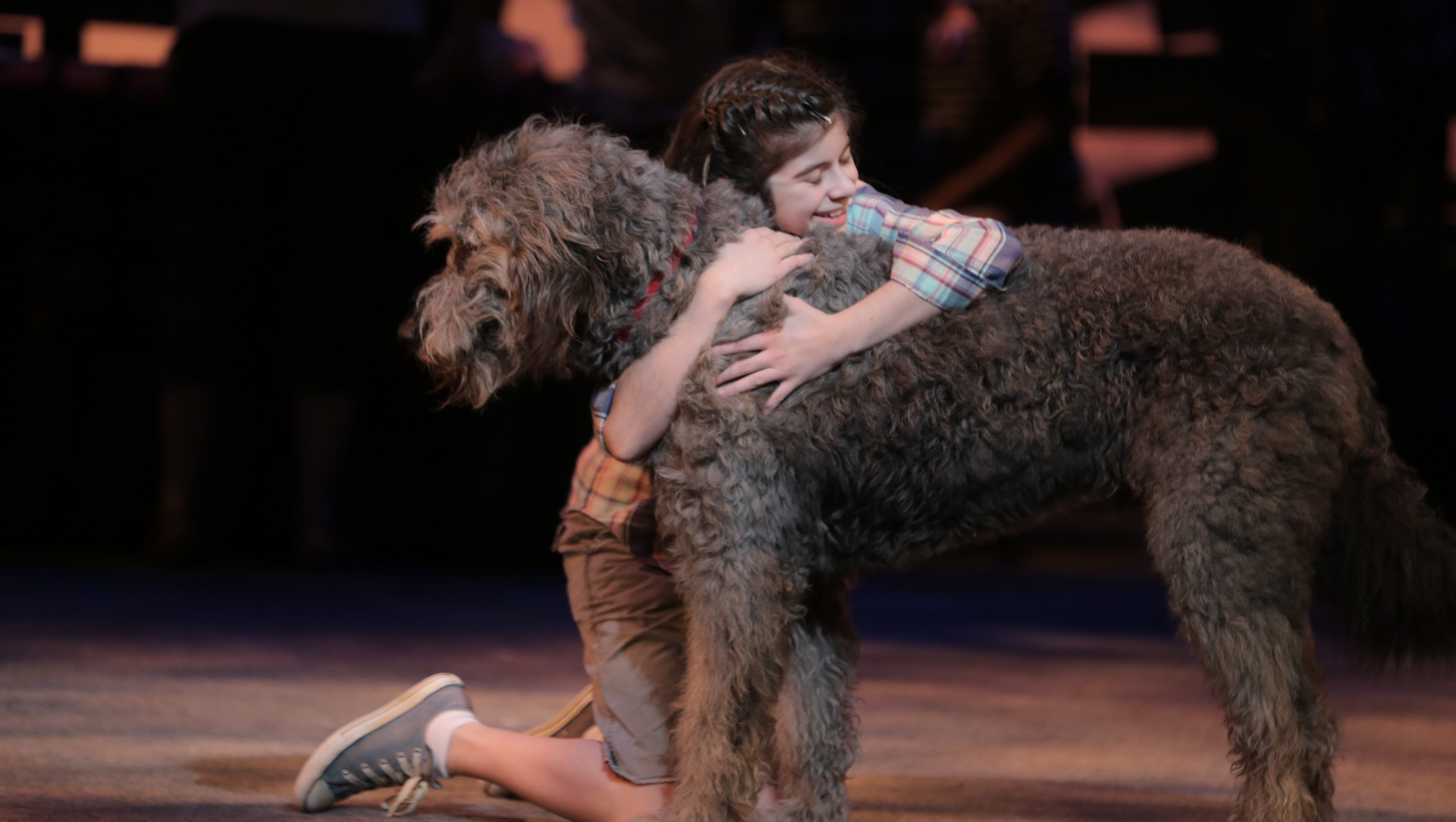 Review Because Of Winn Dixie Is Surprisingly Powerful Musical