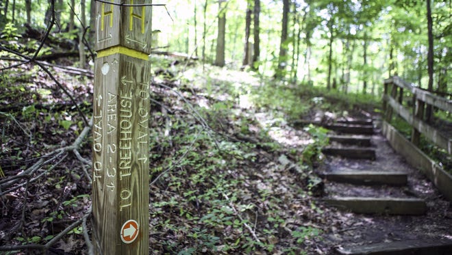 Mount Airy Forest, which covers nearly 1,500 acres, is part of Cincinnati's parks system. It is one of the largest urban forests in America, but much of its trails are closed.