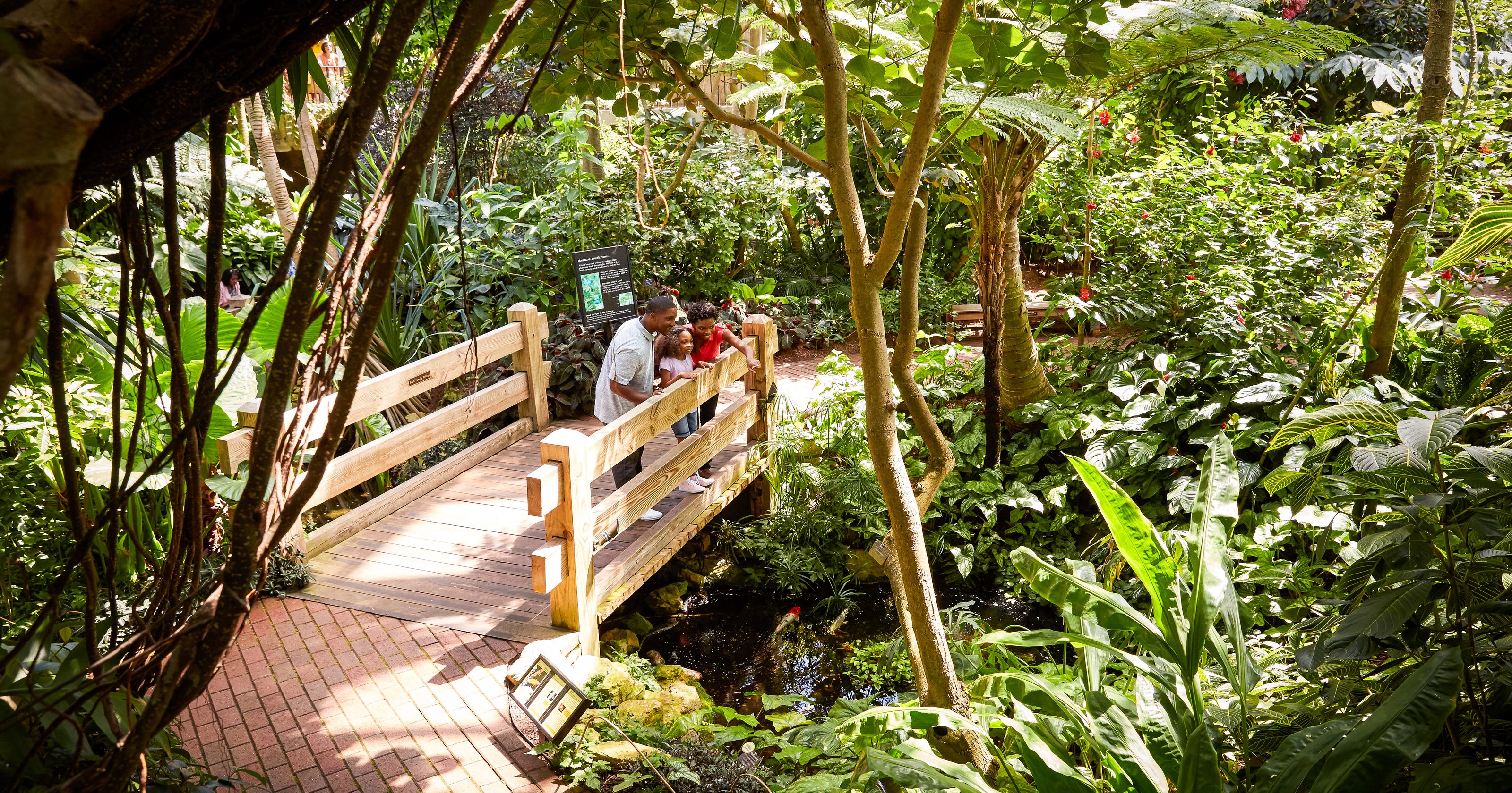 Wisconsin Botanical Gardens And Arboretums Are A Tropical Escape