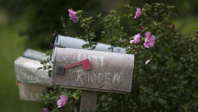 The Enquirer/Carrie Cochran
Mailboxes mark where the trailers of Frankie Rhoden and Hannah Gilley were located in Pike County.
Aug. 10, 2016: Rose of Sharon bushes are in bloom around the mailboxes that now have no residents. The trailers that housed Frankie Rhoden and Hannah Gilley now sit sealed in a warehouse miles away in Waverly.