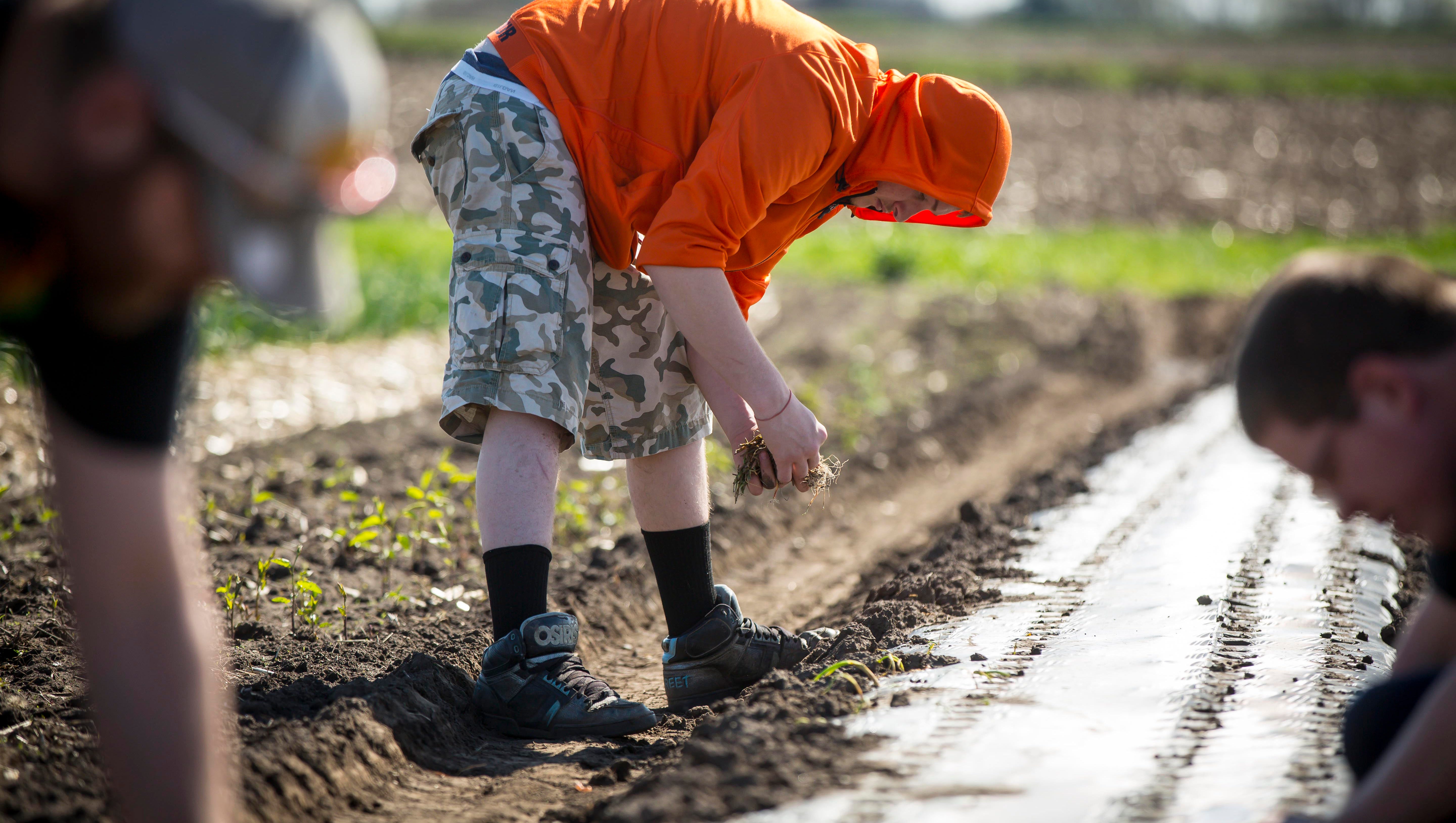'The Homestead' in Altoona changes name to 'Balance Autism'