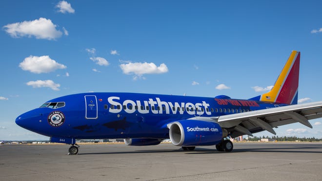 Southwest unveils shark-themed Boeing 737 for Shark Week (again)