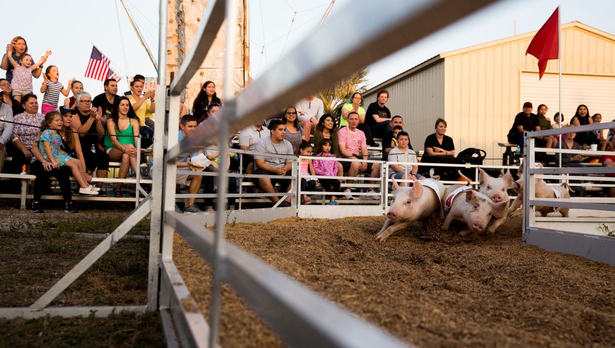 Photos An evening at the Collier County Fair