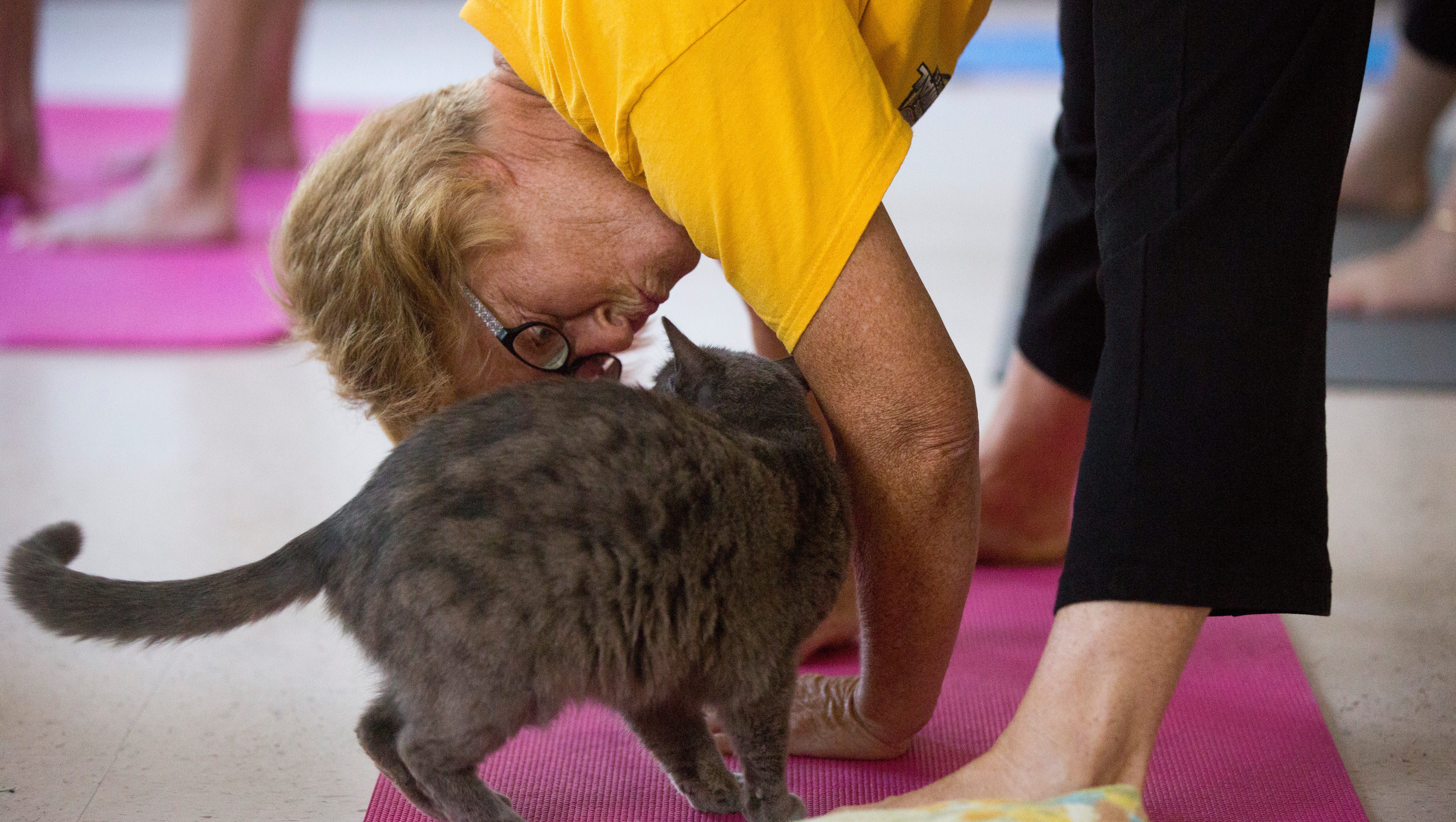 How To Live Mindfully Naples Fort Myers Wellness Experts Weigh In