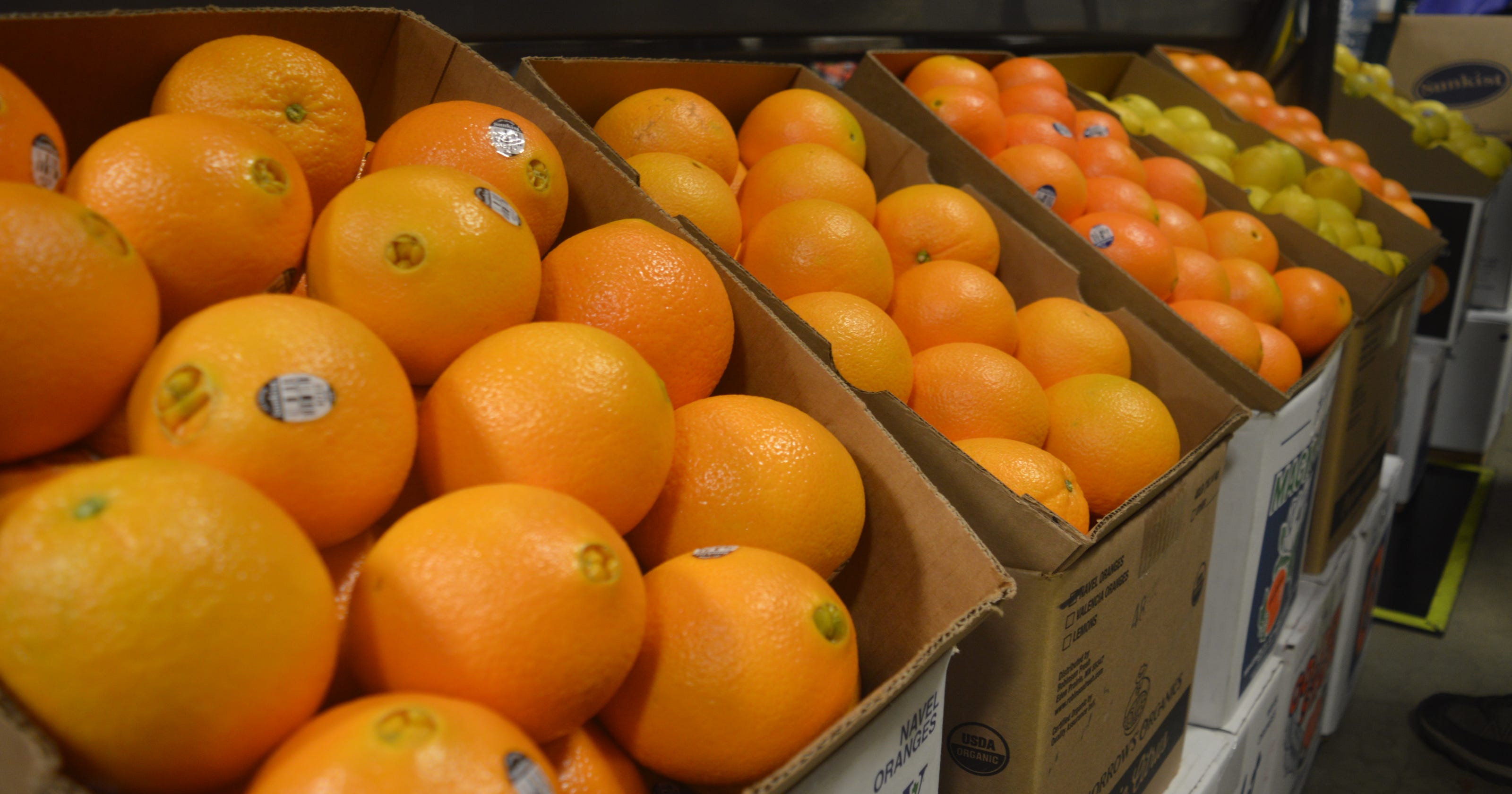 California citrus growers get help from State to fight citrus pest and
