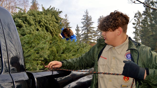 Gabe Perez, 17 of Boy Scout Troop 317 helps tie down a Christmas tree, Saturday morning for the troop’s Curbside Christmas Tree pick Up event. Cathy Torres hold the tree down in the back.