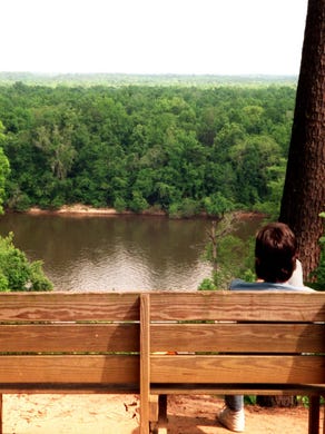 The view of the Apalachicola river from Torreya State Park.