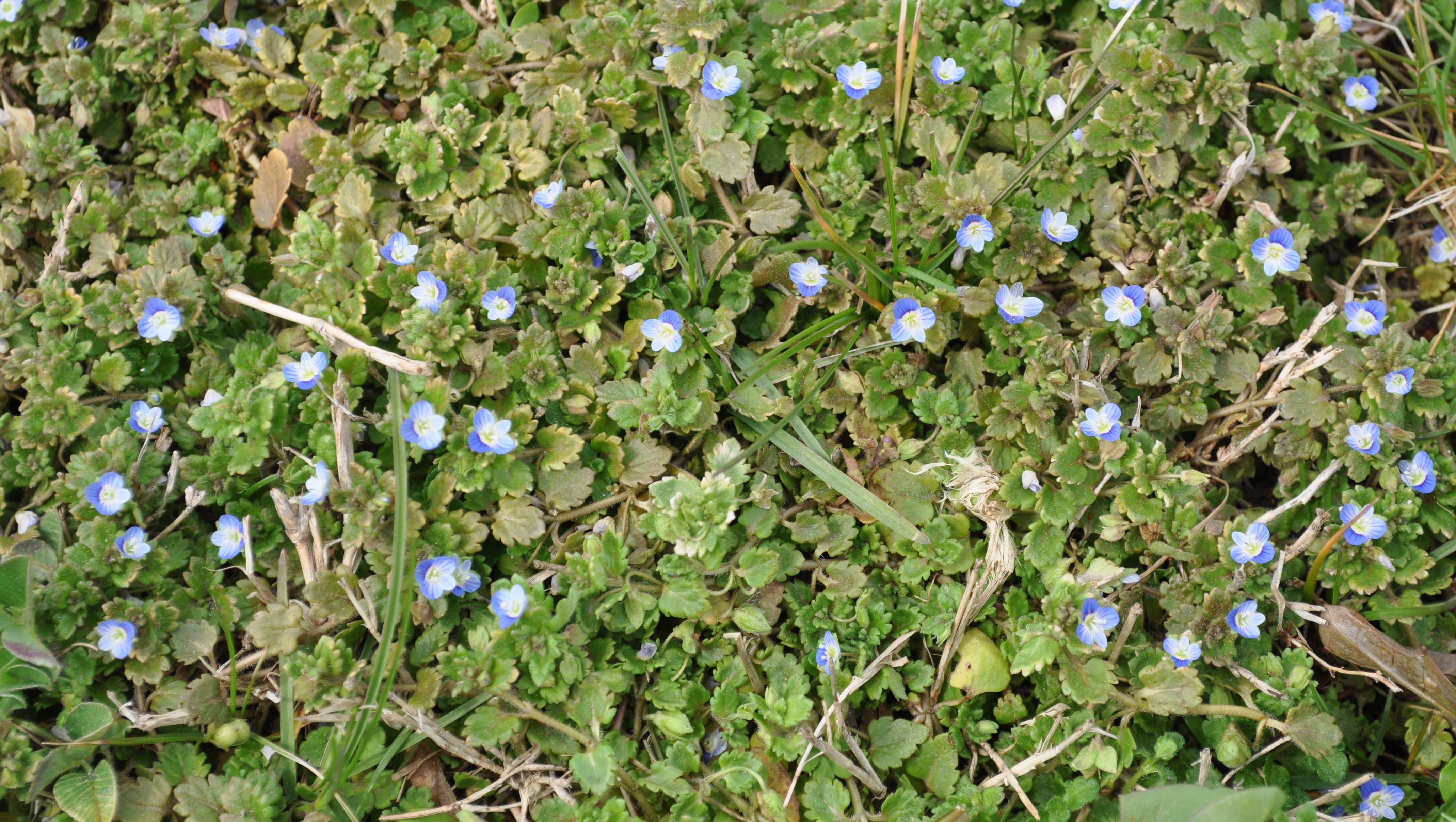 636263019004980101-DSC-0063.JPG