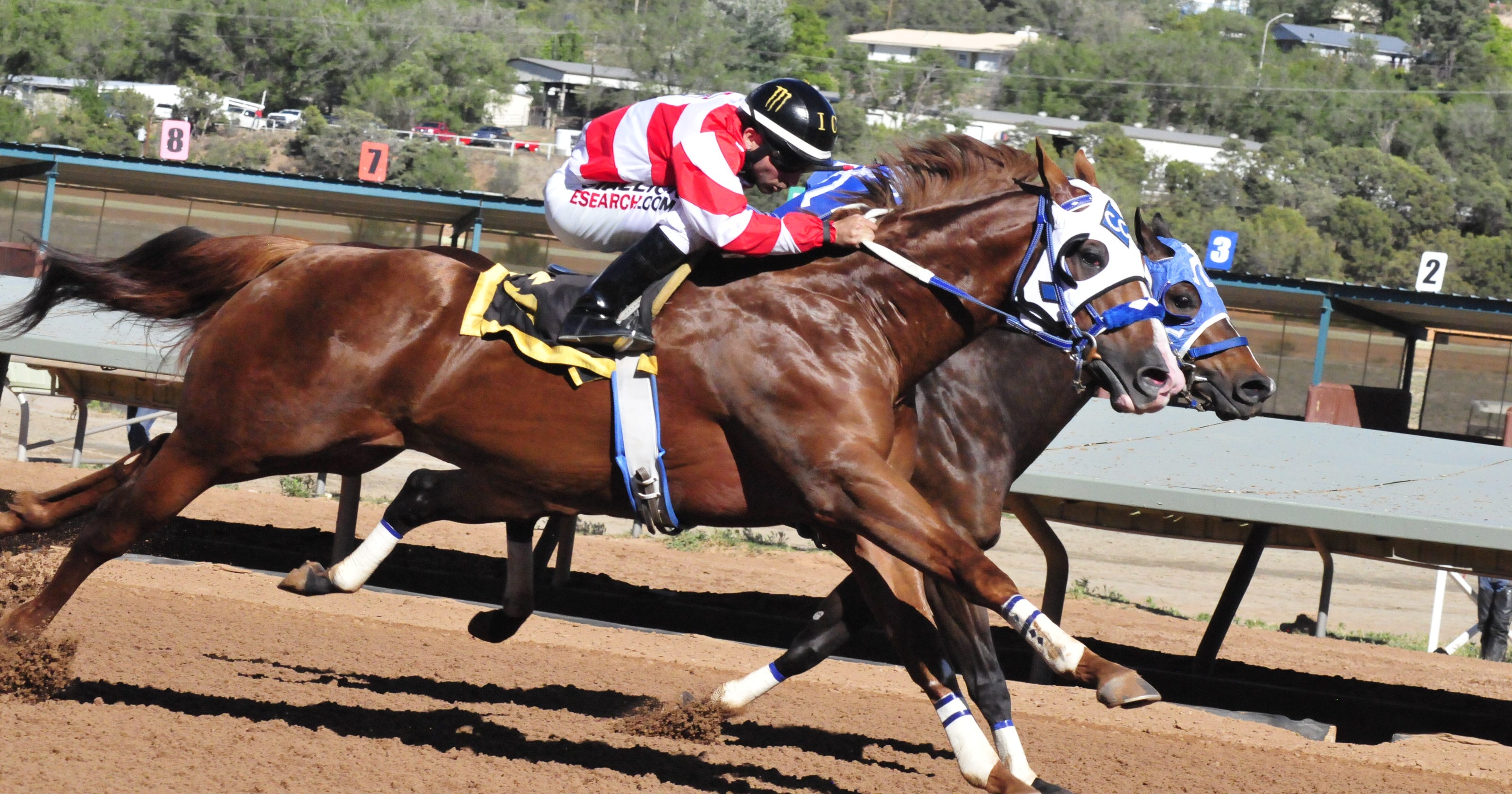 Ruidoso Downs offers horse racing experience, Hall of Fame collection