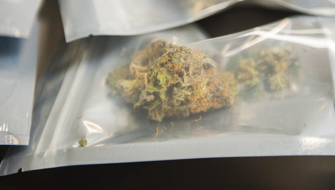 NJ medical marijuana: Who wants to grow pot in South Jersey?