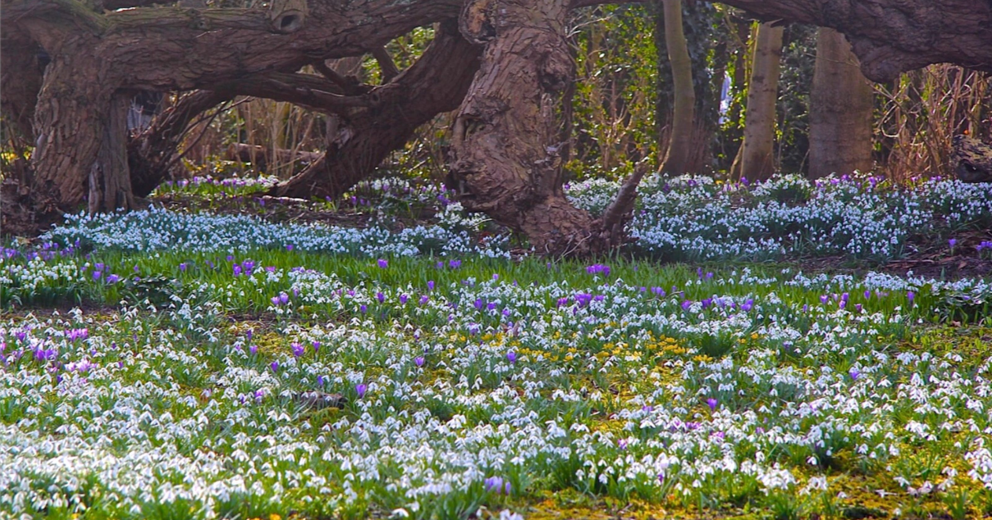 Things to do 5 gardens in NJ to visit this spring