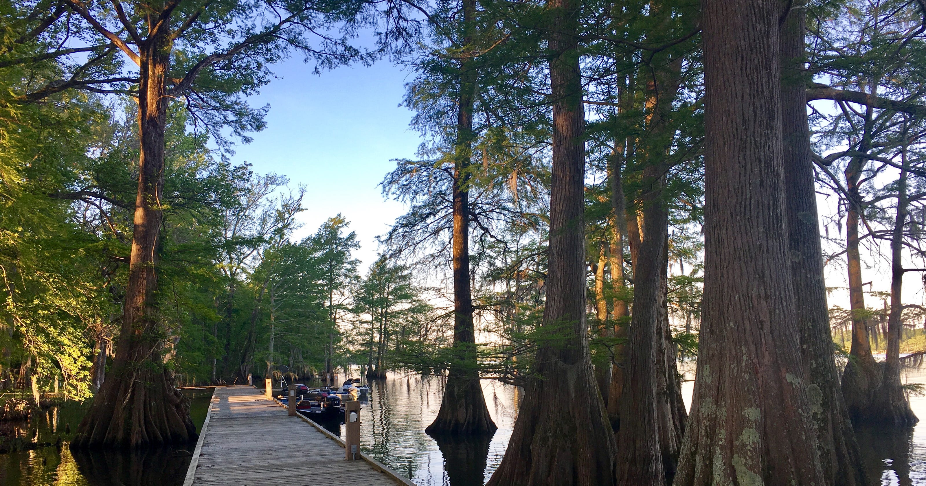 Louisiana state parks reopen campsites with promo code for discounts