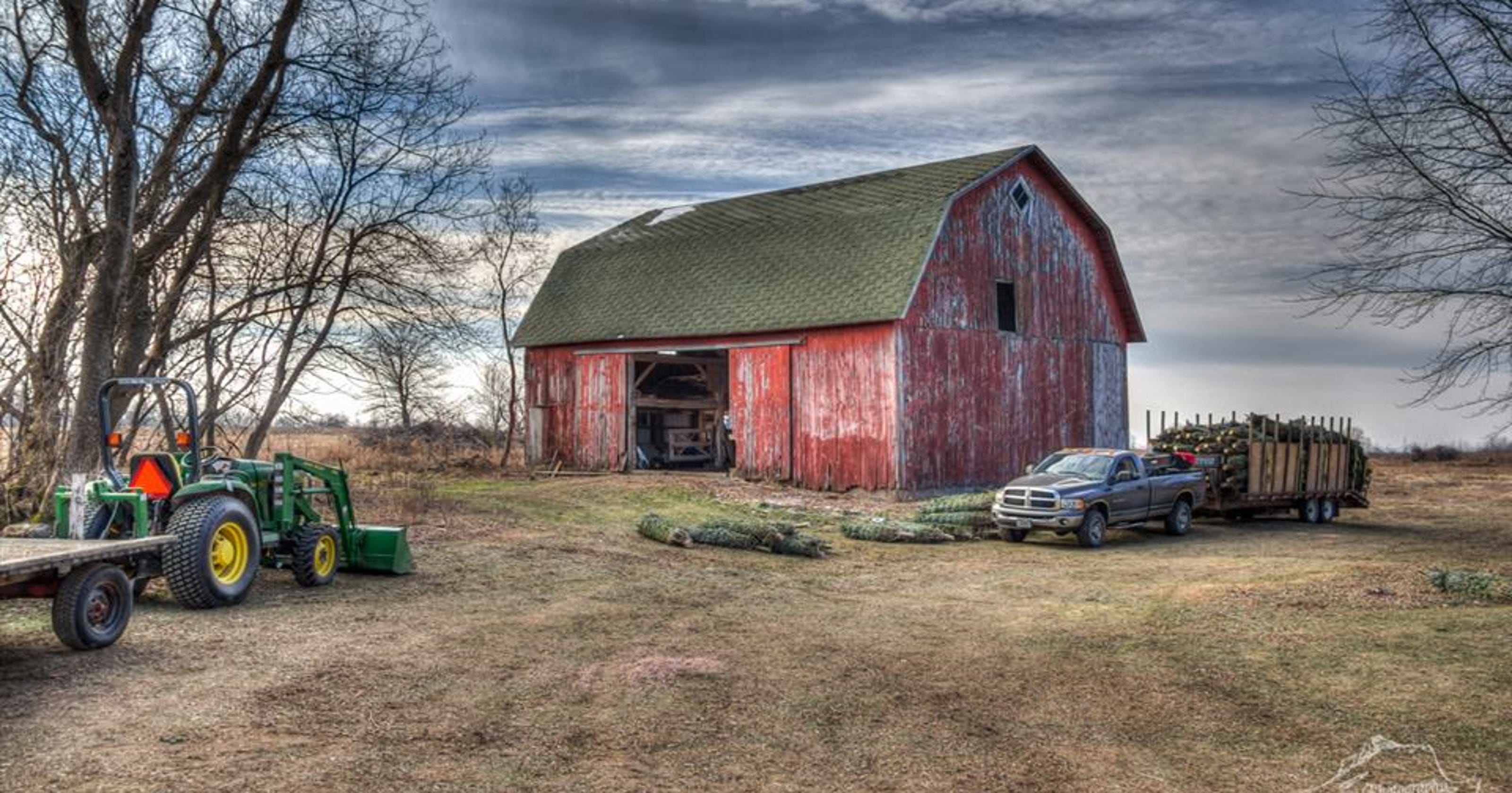 Central Wisconsin tree farms that can complete your holiday setup