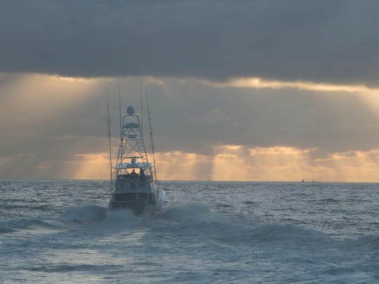 Images from aboard the Showtime! boat during the second day of the third annual Fish Heads of Stuart Sailfish Invitational on Wednesday, December 2, 2015. (SAM WOLFE/TREASURE COAST NEWSPAPERS)