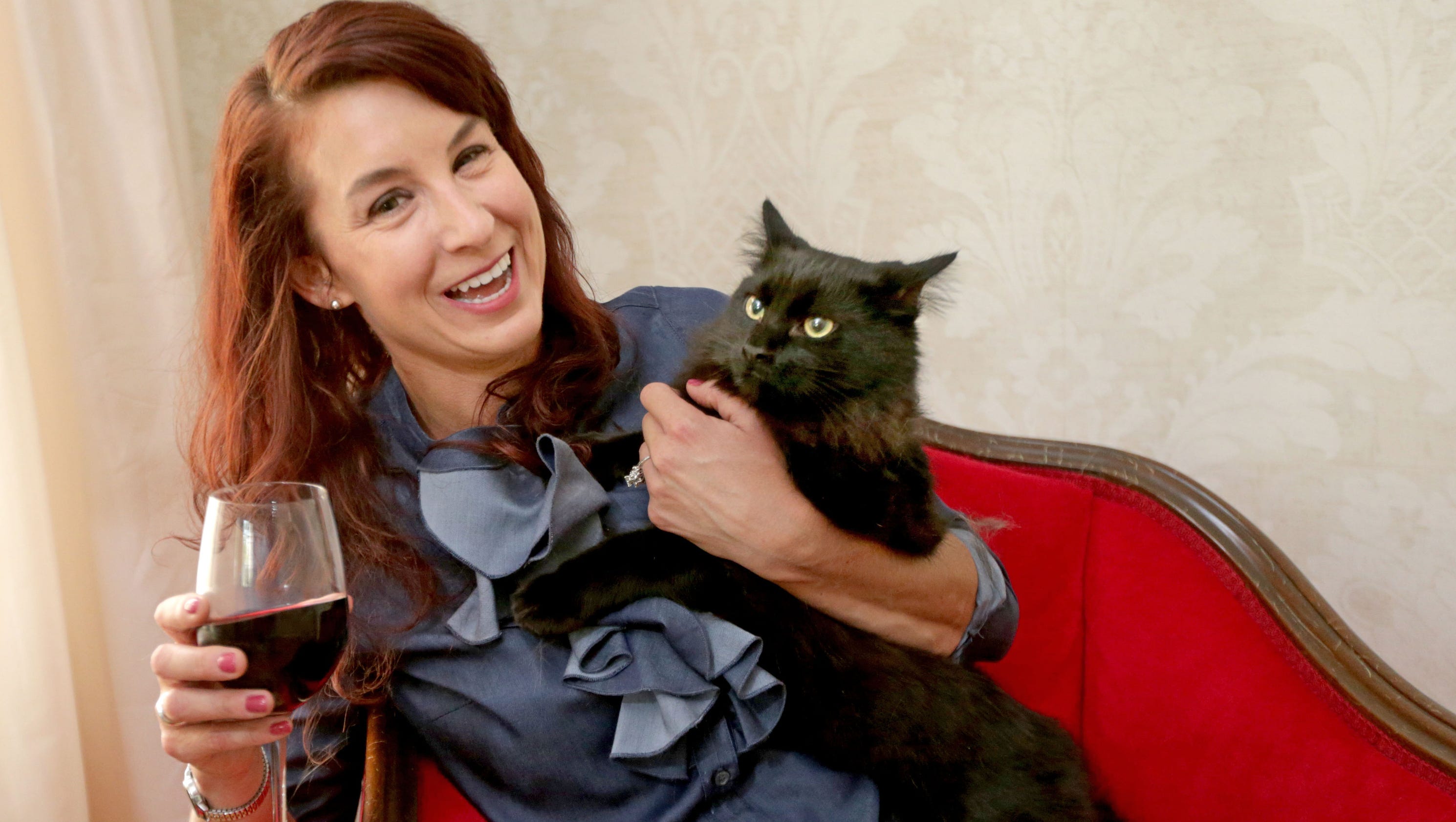 Milwaukee s first cat  cafe  Sip Purr  opening June 1
