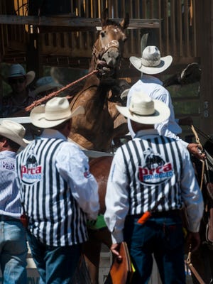 The 83rd Augusta American Legion PRCA Rodeo will have there slack Saturday at 5, and the main rodeo Sunday at 2 p.m.