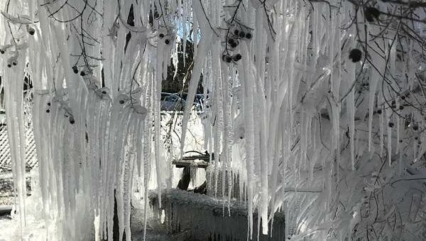 Leon County Schools tweeted these photos Thursday morning with the caption: "Roberts elementary students were welcomed to school this morning with an awesome winter wonderland."