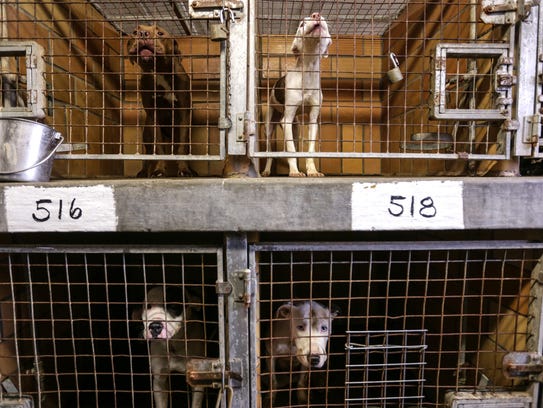 Suit: Detroit Animal Control seized dogs for 'ransom'