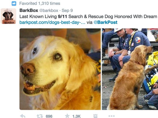 9/11 rescue dog celebrates 16th birthday in New York City