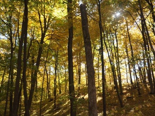 A kid-friendly hike at Holy Hill