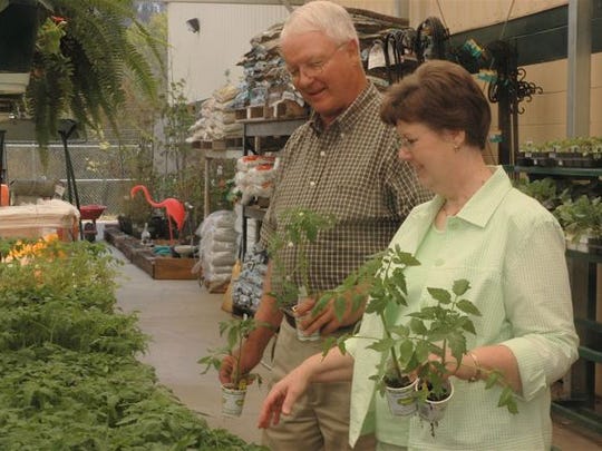 Mayo Garden Center Celebrating 140 Years As Oldest Business In