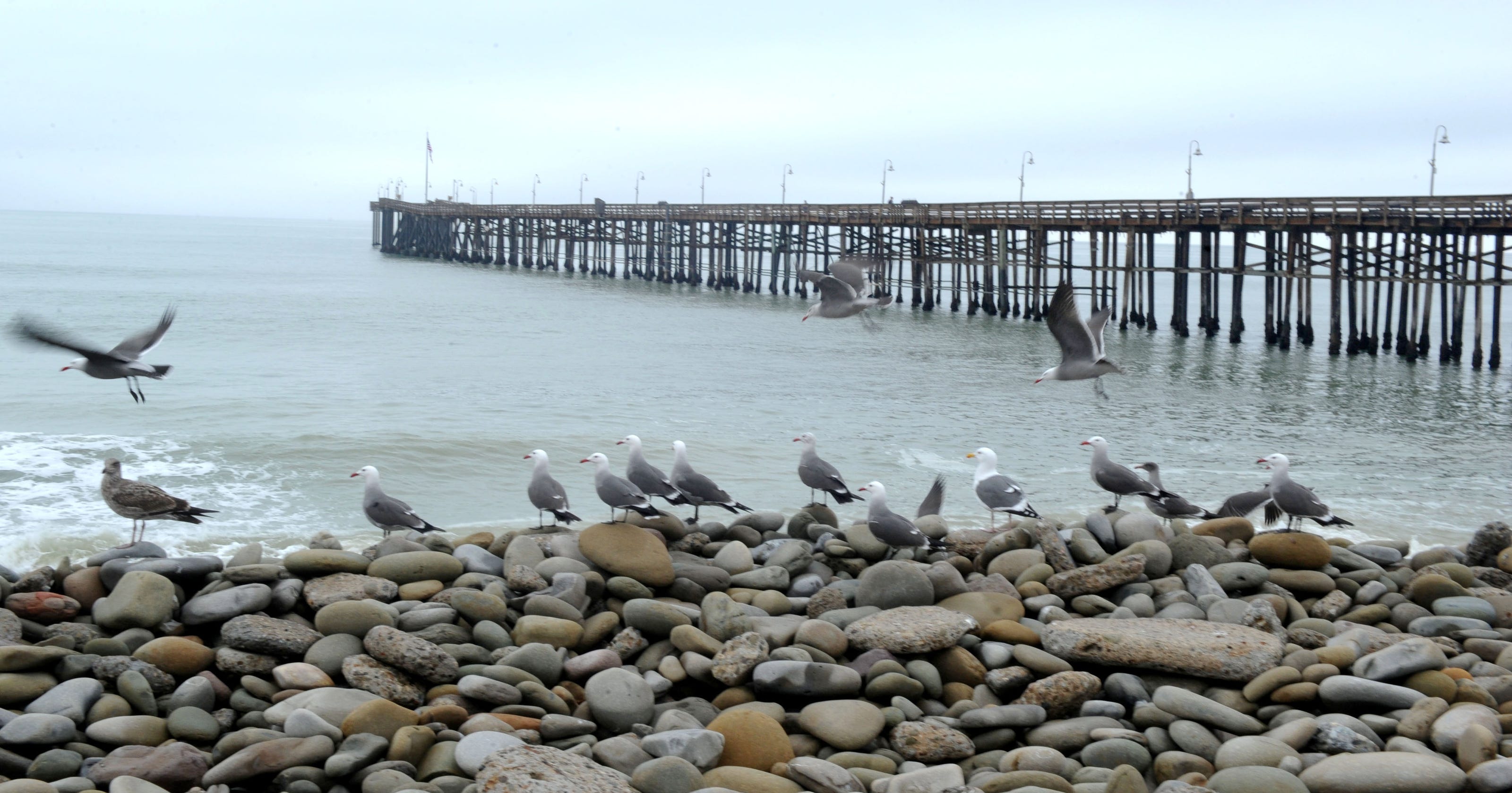 Free things to do in Ventura County with guests this holiday season