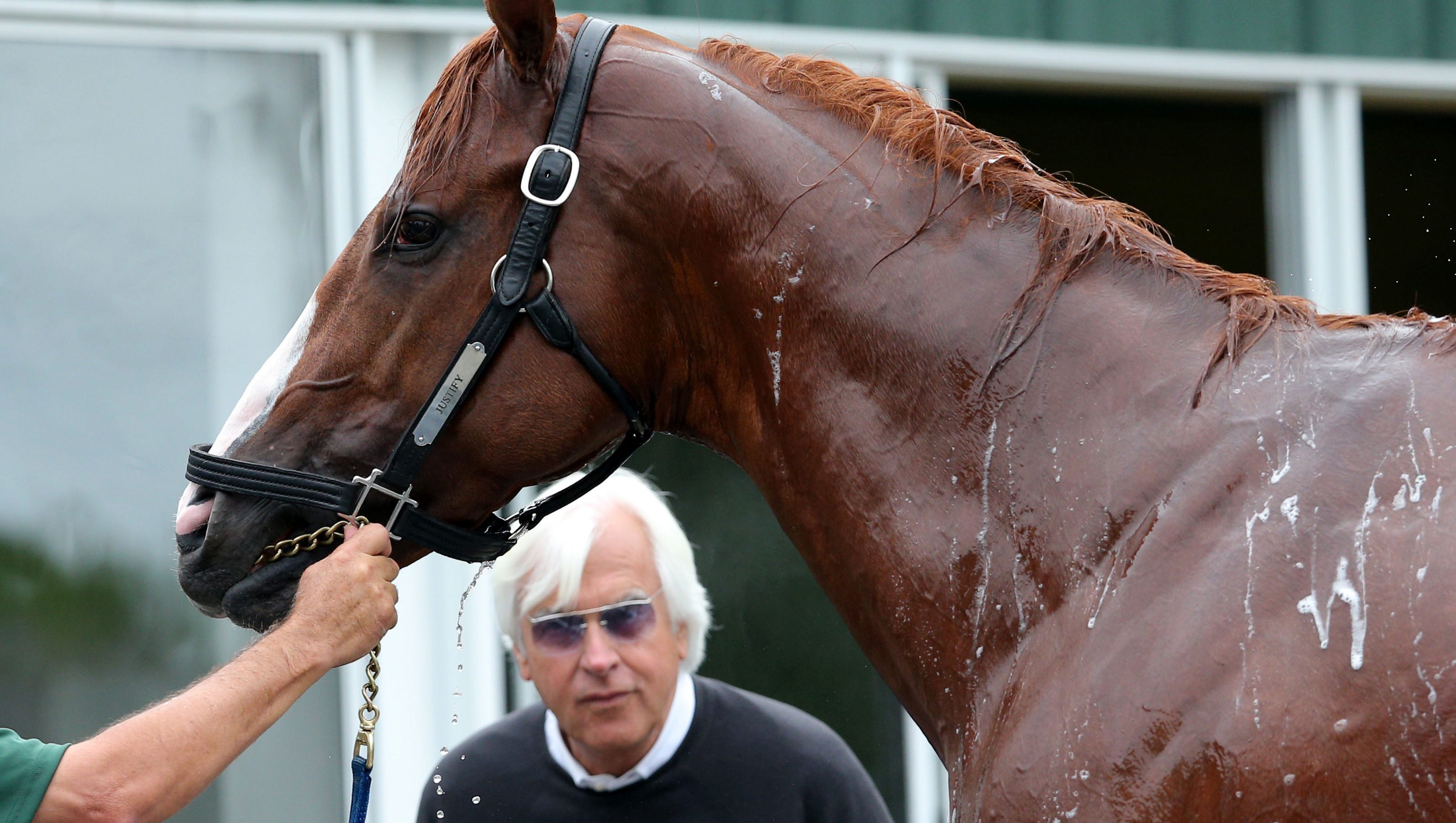 Triple Crown Meet Nine Horses Hoping To Ruin Justify S Run