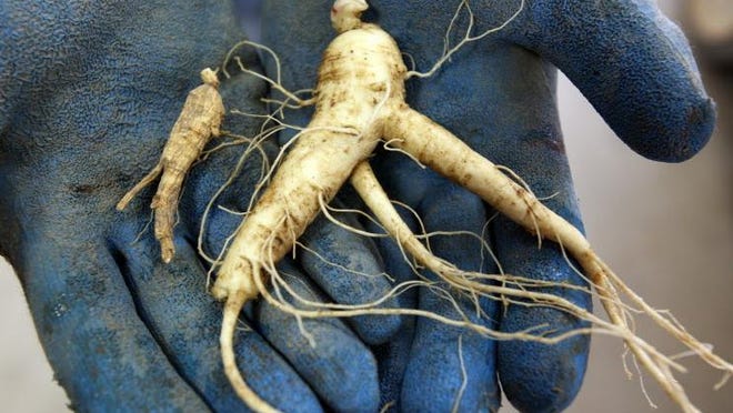 Ginseng is a major export from Wisconsin, particularly to China.