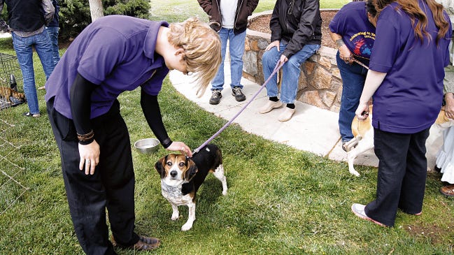 Dogs from the High Desert Humane Society were available for adoption at the Give Grandly! event on May 5 in Gough Park. The Humane Society recommends pets not ride in the back of pickup trucks unless they are in a secured pet transportation crate. 
