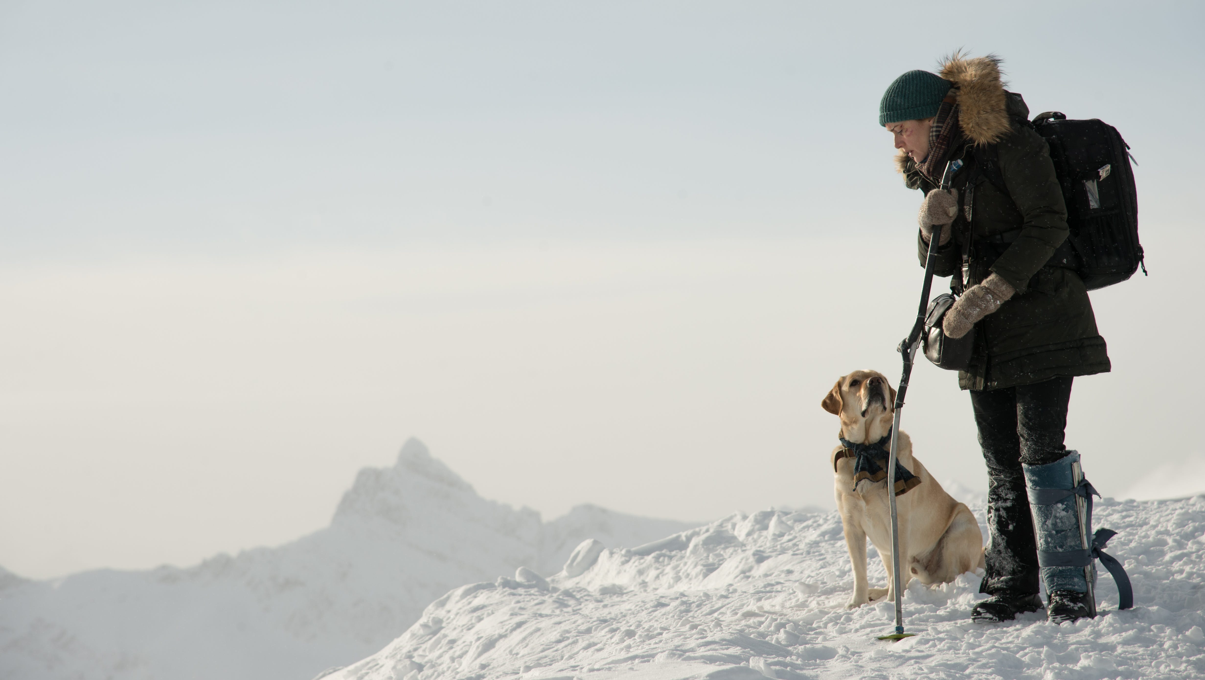 See Idris Elba Kate Winslet Stranded In The Wild In Mountain Between Us