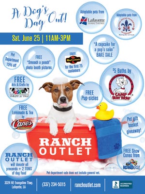 Dog's Day Out offers plenty for pooches and owners alike.