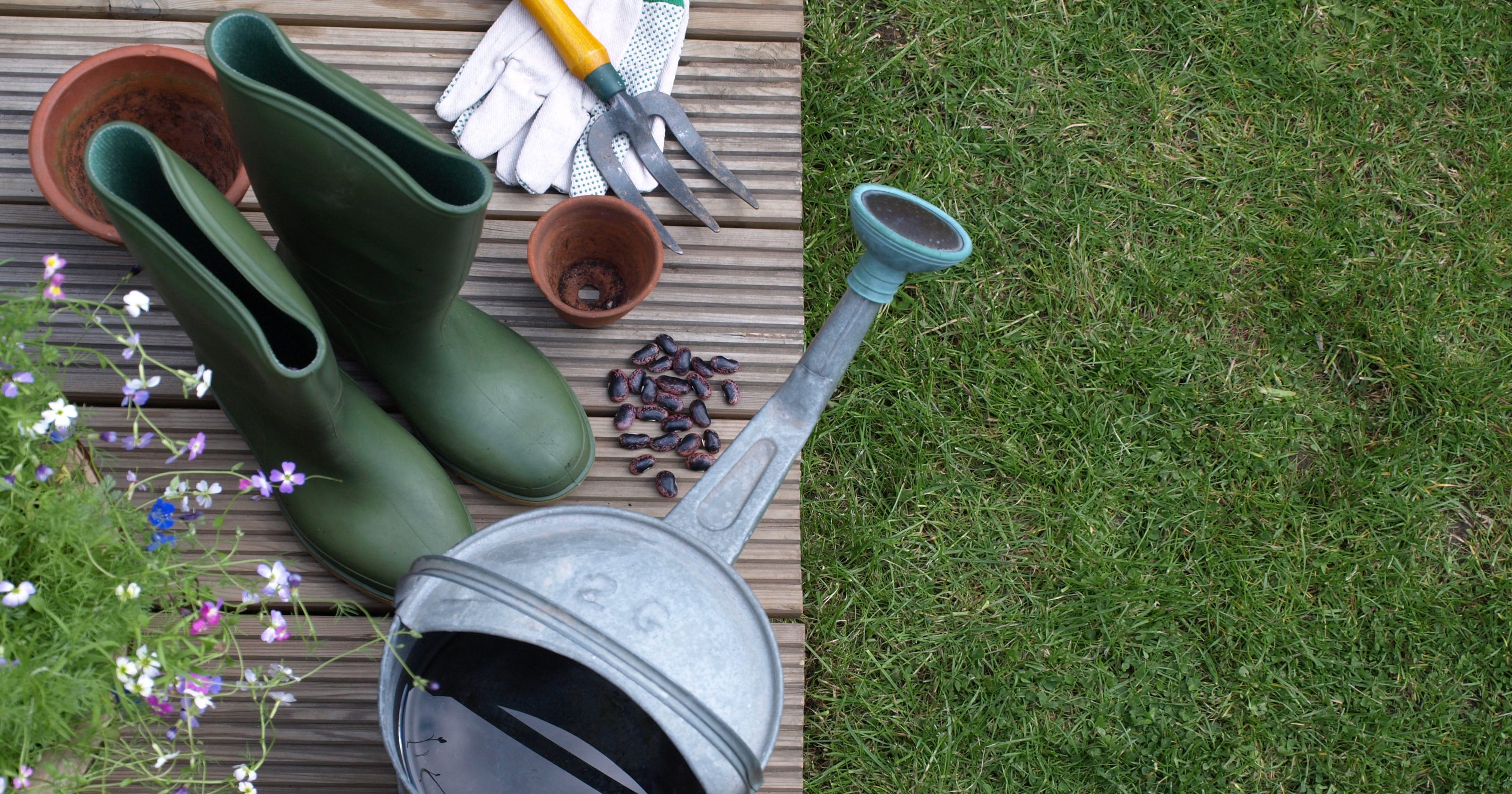 10 things to do in your garden now