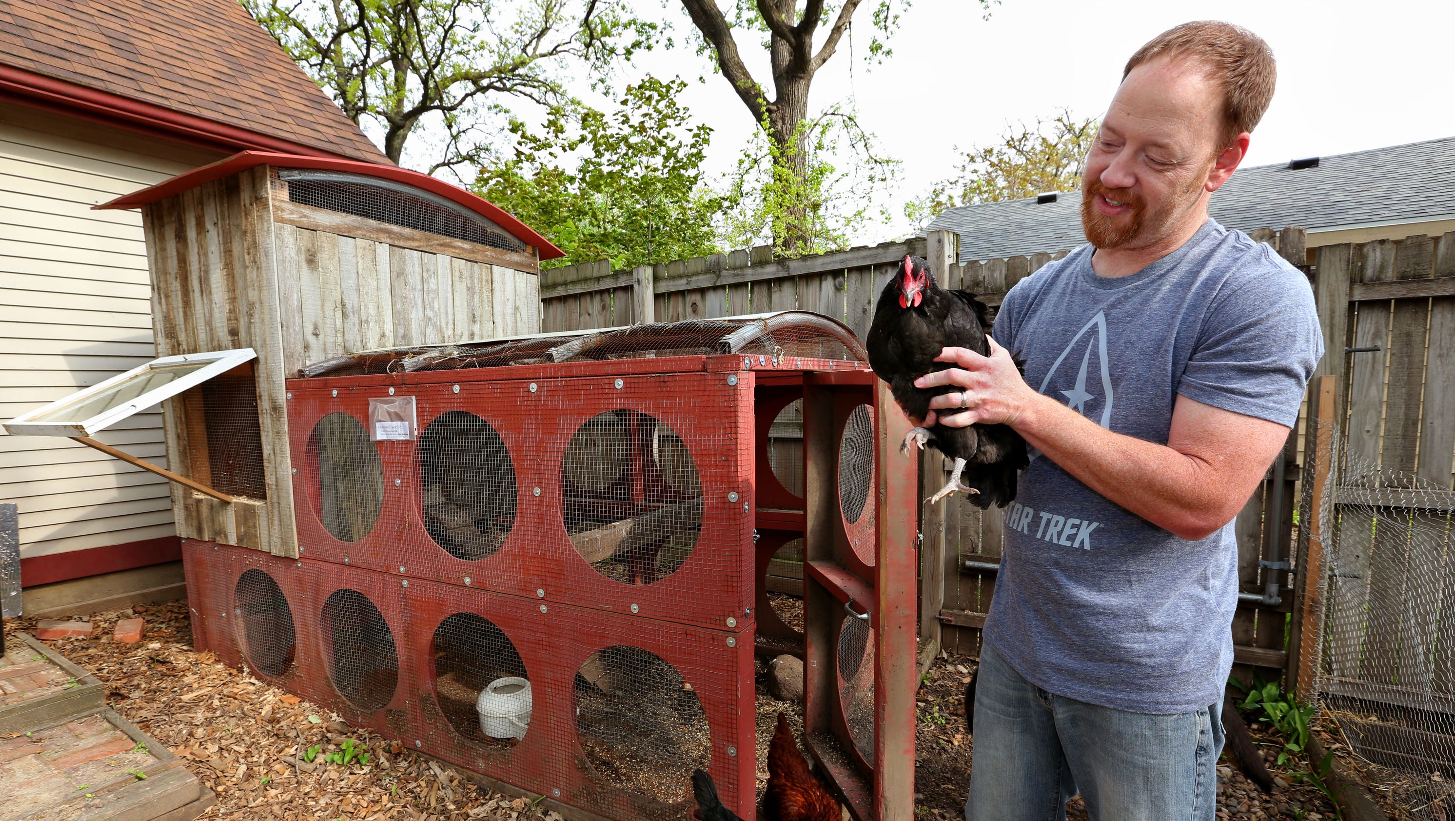 20 photos Backyard chicken coop made out of recycled materials