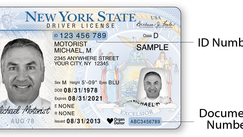 dmv renew license ny