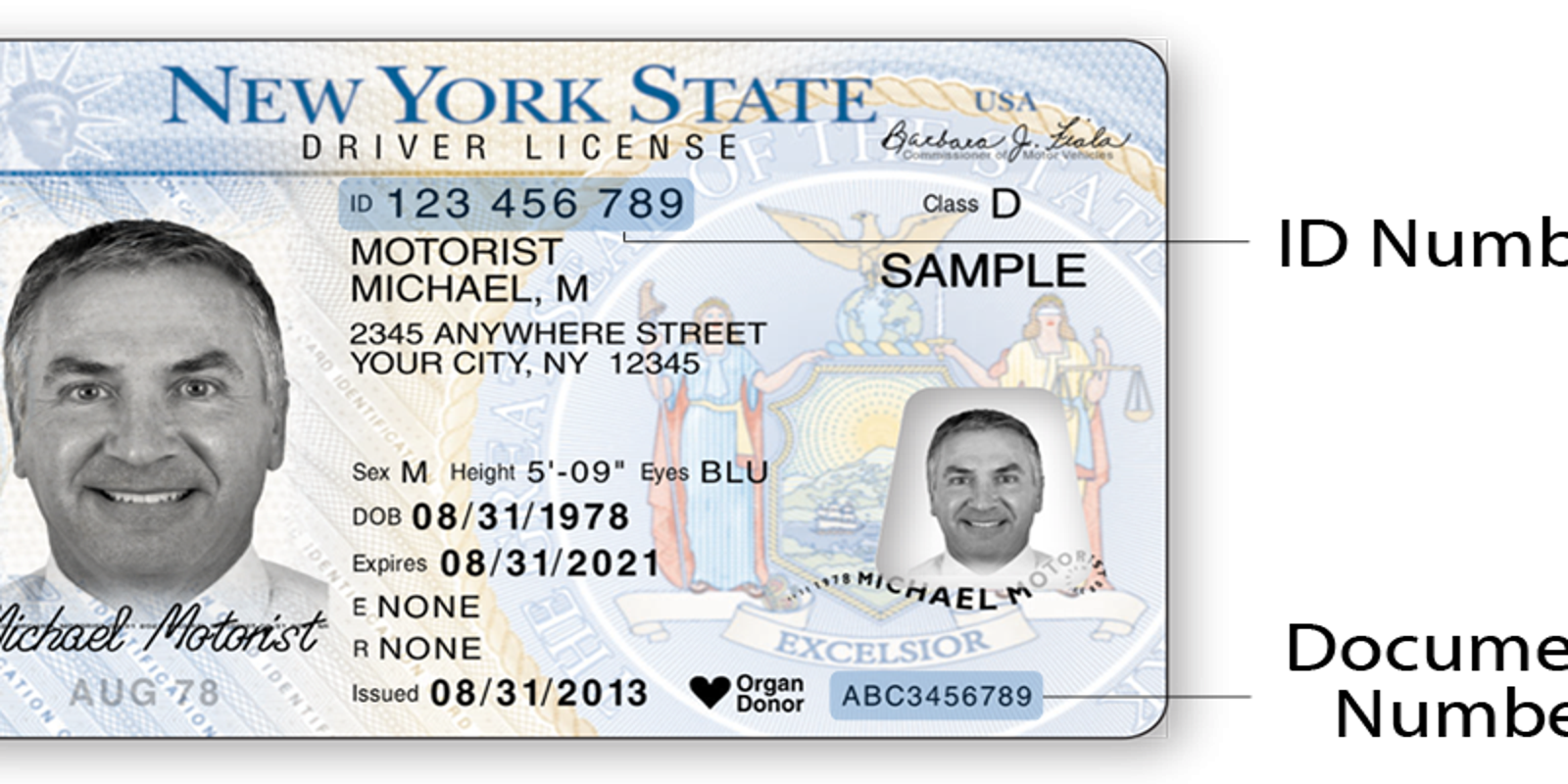 Ny Allows Print At Home Temporary Driver Licenses