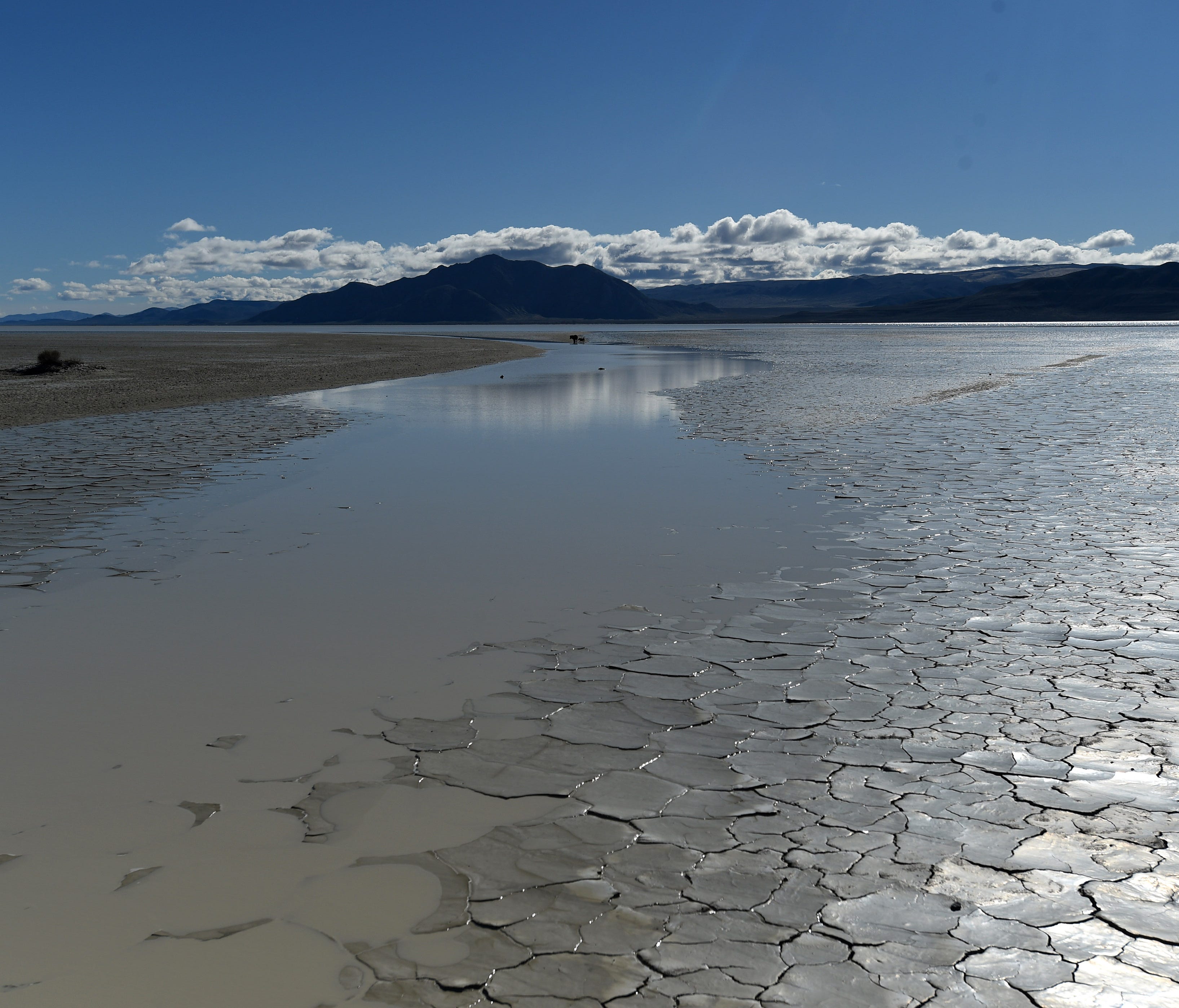 Water is seen covering the Black Rock Desert playa north of Gerlach, Nevada on March 25, 2017.