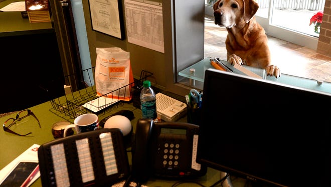 Take Your Dog To Work Day  is today and Michigan companies are participating in the 17th annual event.