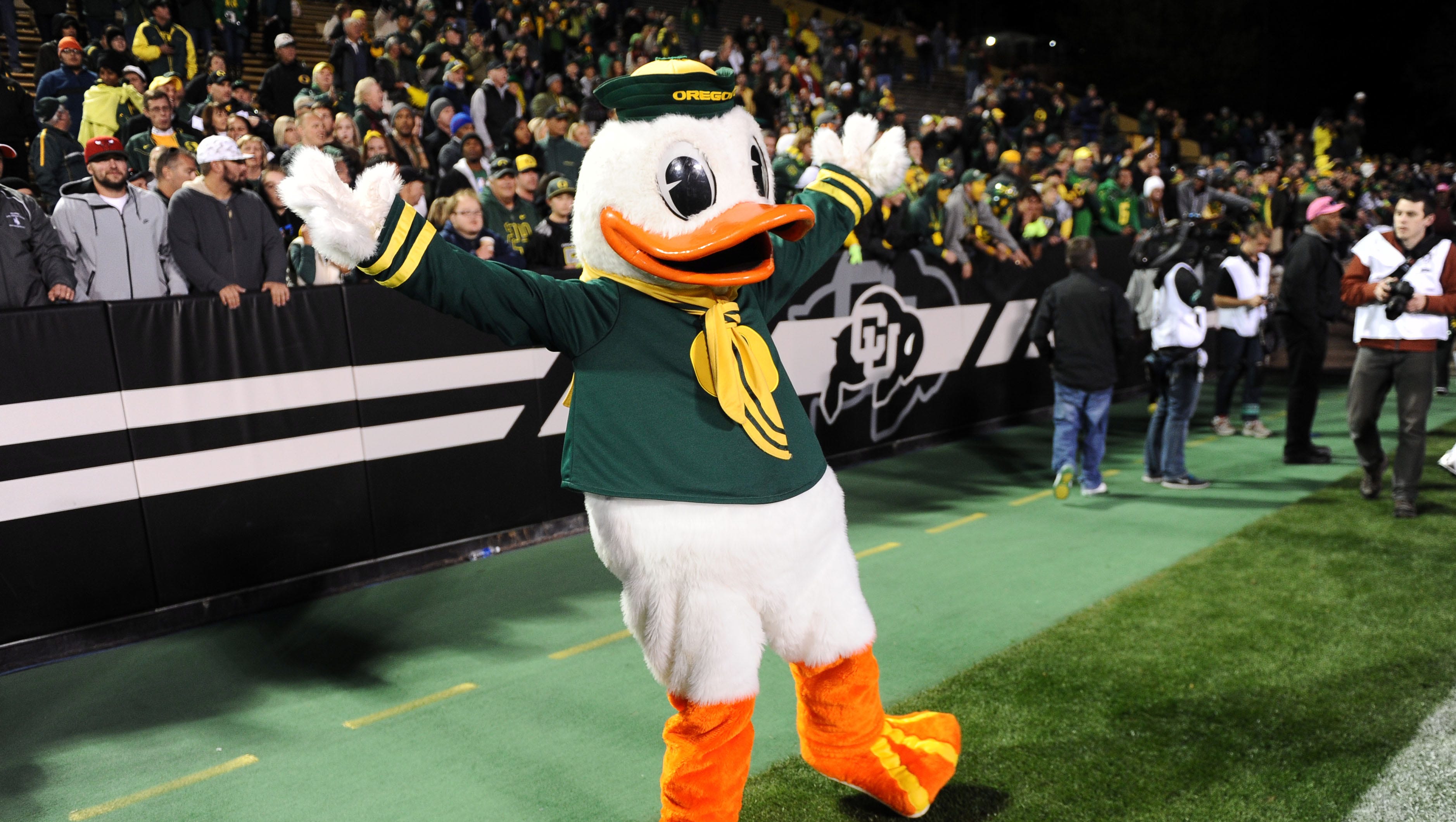 Duck fan account