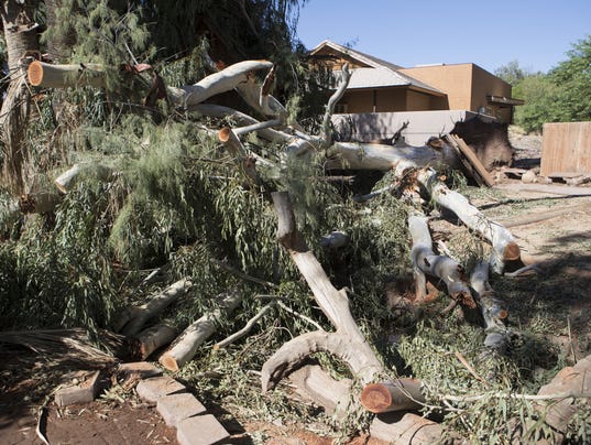 Phoenix Zoo storm damage