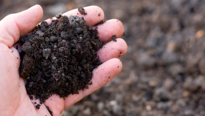 Soil preparation is probably the most often skipped step when planting a new bed or vegetable plot.