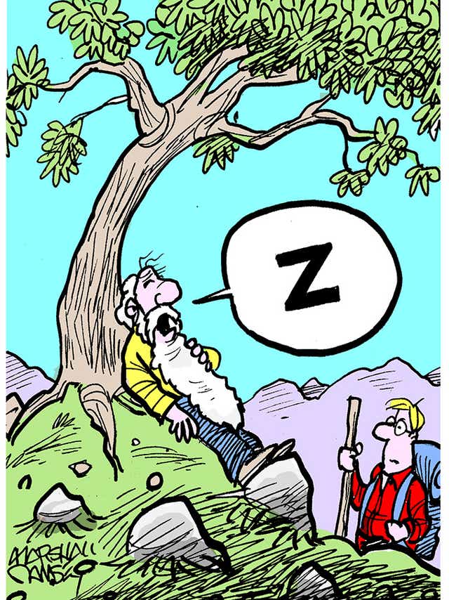 Rip Van Winkle S Rude Awakening From Trump To Clinton To Roseanne