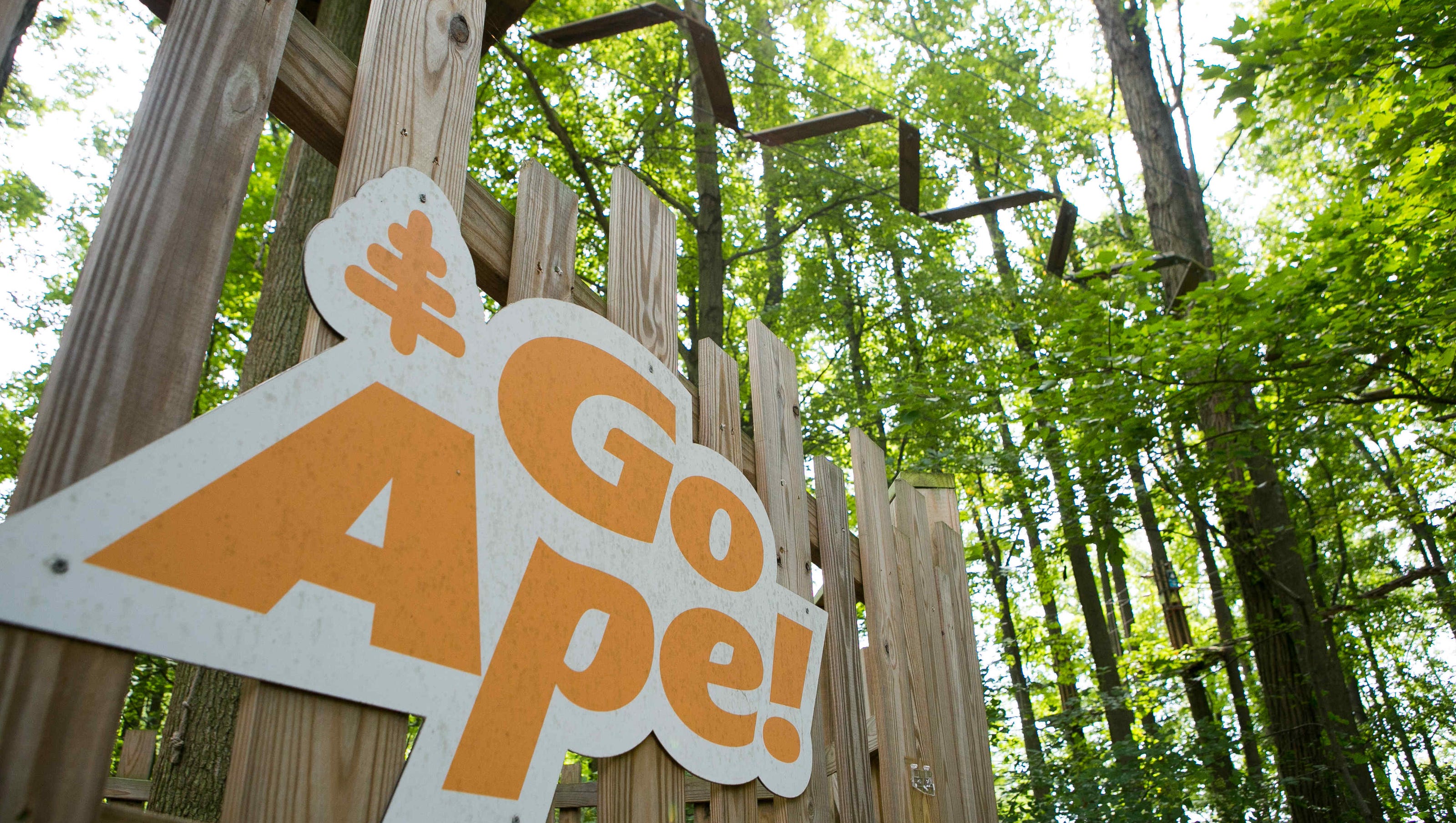 Woman Who Died After Fall From Delaware S Go Ape Zip Line Platform Id D