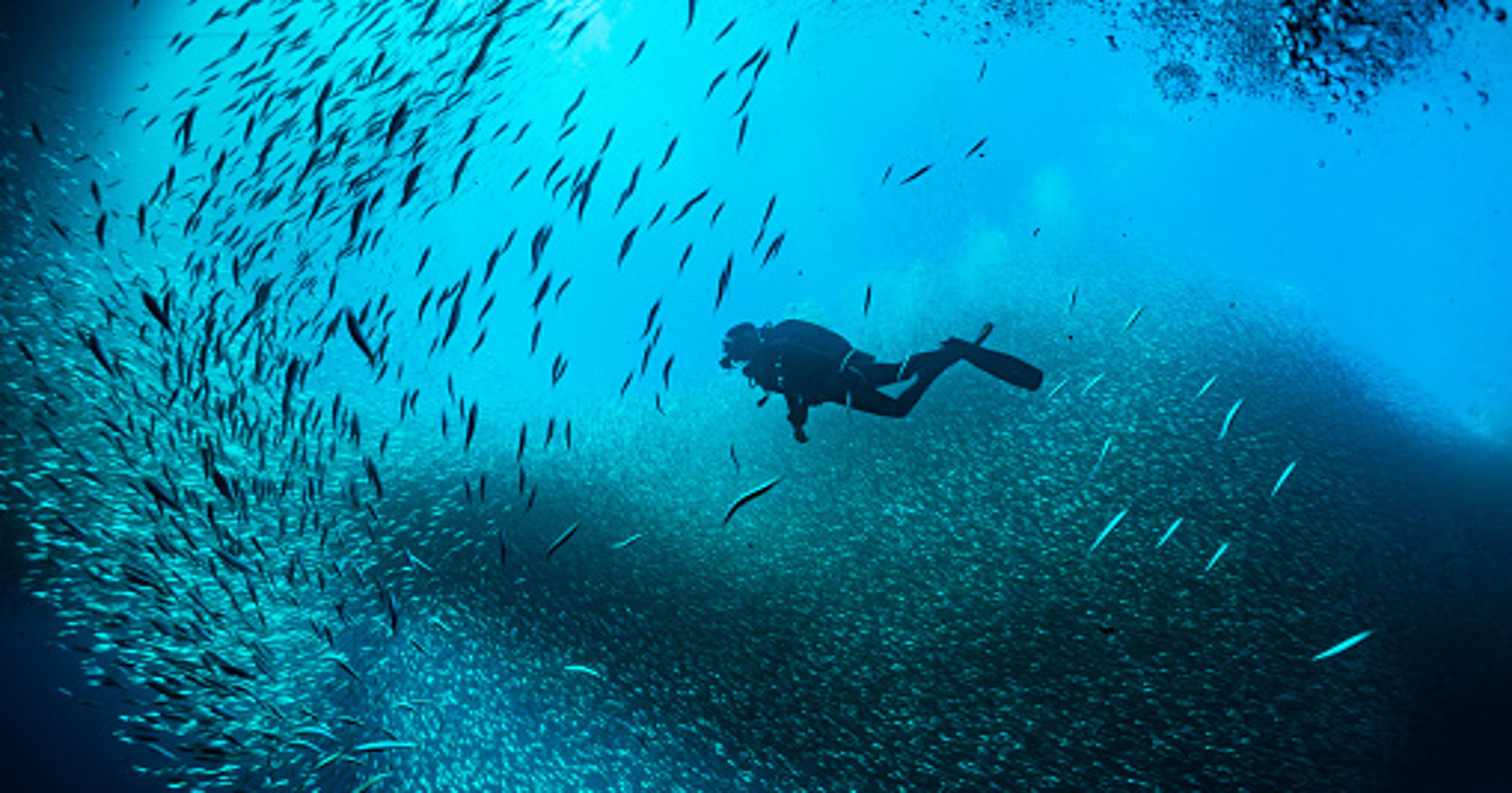 Dive in Get started scuba diving snorkeling in Pensacola