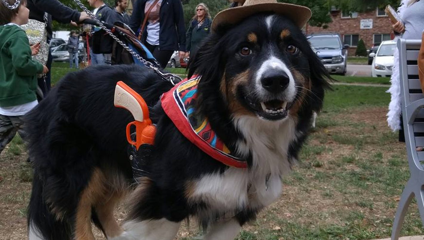 Fort Collins named a top 10 city for dogs