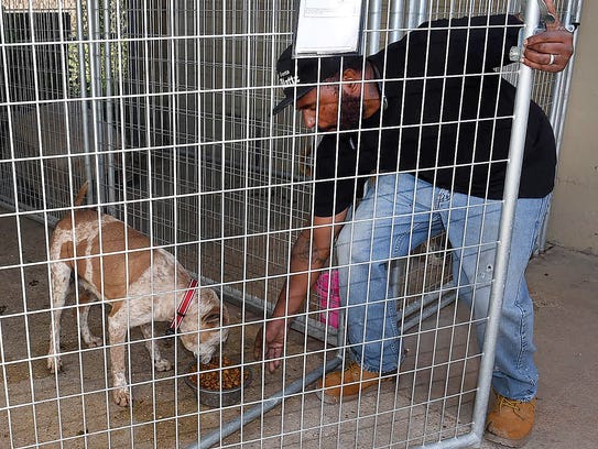 The St. Landry Parish Animal Shelter is closed until