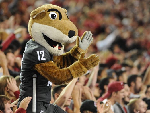 Washington State Cougars mascot Butch starts a cheer