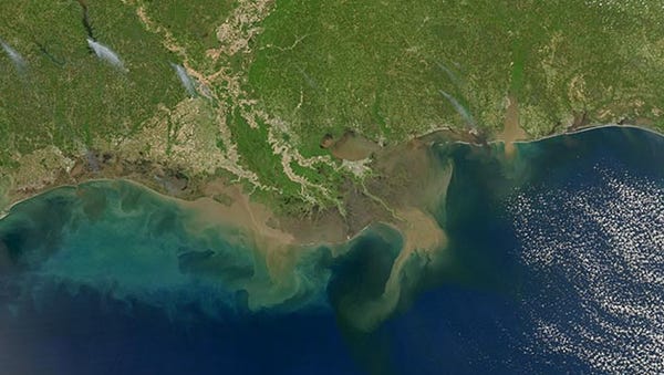 Sediment-laden water pours into the northern Gulf...